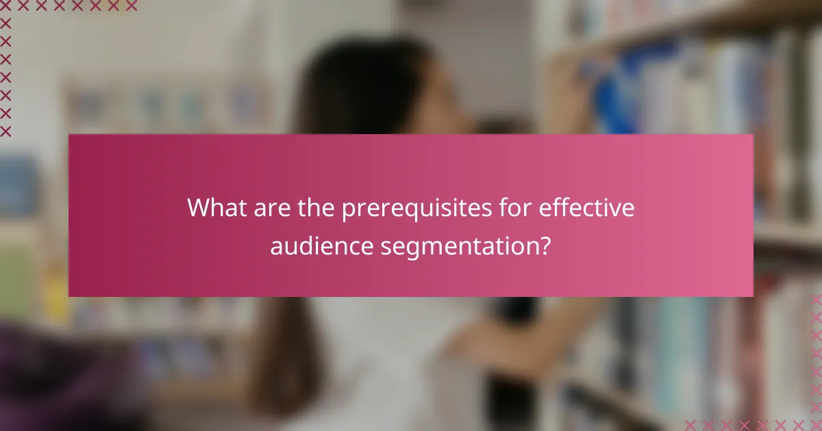 What are the prerequisites for effective audience segmentation?